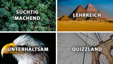 QuizzLand Allgemeinwissen Quiz header