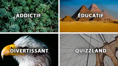 QuizzLand : quiz intelligent header