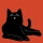 Where is cat? icon