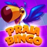 Praia Bingo: Tombola online icon