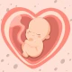 HiMommy: Ovulation & Pregnancy icon