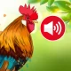 Sons et Sonneries D'animaux icon