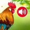 Sons et Sonneries D'animaux icon