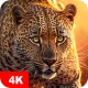 Fonds d'écran avec des animaux icon