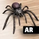 AR Spiders & Co: Scare friends icon