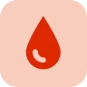 INR Tagebuch icon
