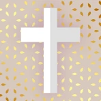 Bible KJV offline with voice icon