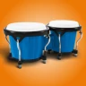 Congas y Bongós: percusiones icon