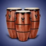 Real Percussion: strumenti icon