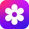 Galleria Foto Android Album icon