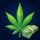 Hempire - Plant Growing Game icon