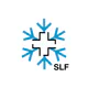 White Risk - SLF Lawinen-App