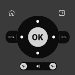 Vizio Smart TV Remote icon