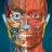 Anatomy Learning - 3D解剖学 icon