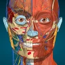 3D-Anatomie - Anatomy Learning icon