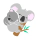 Babykoala icon