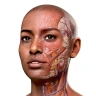 Complete Anatomy icon