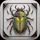 Käfer & Insekten Bestimmen icon
