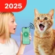 Traduire Humain En Chat icon