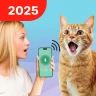 Traduire Humain En Chat icon