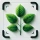 Planten Herkennen - Plantio icon