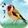 Vogelstimmen icon