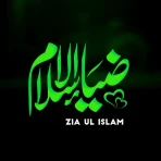 Zia Ul Islam: Quran & Hadith icon