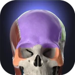 Anatomyka - Anatomia 3D icon