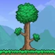 Terraria icon