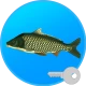 Реальная Рыбалка (ключ) icon