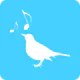 Amsel - Stimmbildung