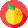 PLU Kody dla kasjerów icon