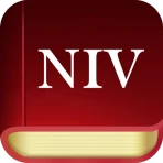 Bible NIV - Audio Bible App icon