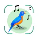 Vogelstimmen Erkennungs App