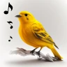 Sonneries Chants D'oiseaux icon