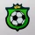 BetsGoal - Betting Tips icon