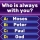 Bible Trivia Quiz Game icon