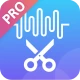 Editor Musicale icon