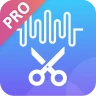Editor Musicale icon