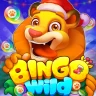 Bingo Wild - Bingo Classico icon