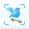 Identification des oiseaux icon