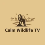 Calm Wildlife TV icon