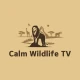 Calm Wildlife TV icon