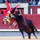 juegos de toros 2023 icon