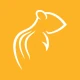 Chipmunk icon
