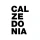 Calzedonia icon