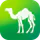 Camel Live icon