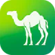 Camel Live