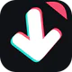 TT Video Downloader