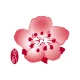 チャイナ エアラインのモバイルアプリサービス icon